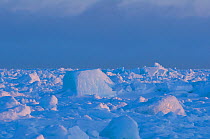 Seascape of rough pack ice over the Chukchi sea in spring, off shore from the arctic village of Barrow, Alaska. April 2009