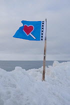 Flag of an Inupiaq subsistence whaling crew attached to a harpoon in the pack ice, at the site of a Bowhead whale catch during spring whaling season, Chukchi Sea, off shore from the arctic village of...