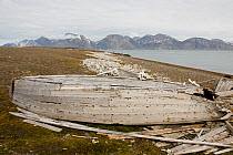 Wooden Norwegian whaling boat alongside hundreds of Beluga / White whale (Delphinapterus leucas) bone remains, off Ahlstrandodden, Van Keulenfjord, Svalbard, Norway. July 2009