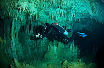 Diver exploring 'Sistema Carwash' a freshwater Limestone sinkhole / Cenote with stalactites and stalagmites, Tulum, Quintana Roo, Mexico, September 2008