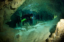 Diver exploring the Sistema Sac Actun, an underwater cave system situated along the Caribbean coast of the Yucatan Peninsula, Tulum, Quintana Roo, Mexico, September 2008