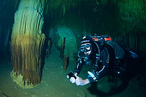 Diver exploring 'Sistema Carwash' a freshwater Limestone sinkhole / Cenote with stalactites and stalagmites, Tulum, Quintana Roo, Mexico, September 2008