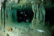 Diver exploring  'Don's One Hundred Dollar ' within Sistema Dos Ojosa- a freshwater Limestone sinkhole / Cenote with stalactites and stalagmites, Tulum, Quintana Roo, Mexico, September 2008
