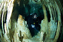 Diver exploring  'Don's One Hundred Dollar ' within Sistema Dos Ojosa- a freshwater Limestone sinkhole / Cenote with stalactites and stalagmites, Tulum, Quintana Roo, Mexico, September 2008