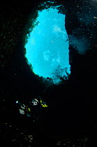 Diver exploring at the surface of a freshwater Limestone sinkhole / Cenote called 'Sistema Xunaan Ha' Tulum, Quintana Roo, Mexico, September 2008
