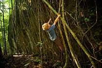 Young boy aged 7 (model released) playing / climbing on Strangler fig (Ficus destruens) roots growing, tropical rainforest, Borneo, Malaysia