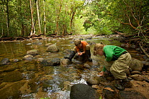 Two young children (brother and sister-model released) collecting water to drink  from a river in tropical rainforest, Borneo. July 2007
