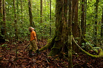 Young boy (model released) 9 years of age, looking at a big tree in tropical rainforest. Borneo July 2007