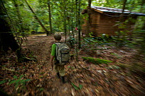 A young boy (model released) aged 9, approaches the researchers hut known as the "beach house" at the research station in Gunung Palung NP, Borneo. July 2007
