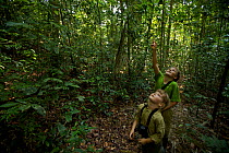Two young children (brother and sister- model released) watching a wild Orangutan in the rainforest, Borneo. July 2007