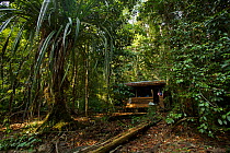 Hut known as the "beach house" at the research camp in Gunung Palung NP, Borneo, July 2007