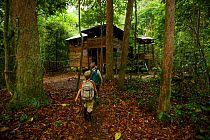 Orangutan researcher Cheryl Knott and young son (both model released) approach the research camp main building at the research station in Gunung Palung NP. Borneo, July 2007