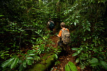Young boy aged 9, and his mother, a research scientist (both model released) hike through the rainforest. Borneo, July 2007