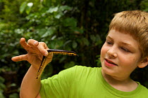 Young boy aged 9 (model released) holding Giant millipede, tropical rainforest, Borneo, July 2007