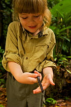 Young girl (model released) holding Giant millipede, tropical rainforest, Borneo, July 2007