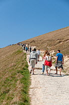 People walking along footpath to Durdle door, with  erosion of the trail evident. Lulworth, Dorset, England, UK
