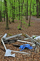 Illegal fly-tipping in Beech (Fagus) woodland in spring. Surrey, England, UK