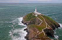 Aerial view of Lighthouse at South Stack, Anglesey, RSPB Reserve, North Wales