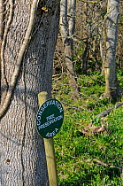 Conservation Area, marked by tree preservation sign, in woodland. Dorset, England, UK