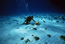 Diver searching with a sandblaster and magnetic hit during the recovery of the shipwreck "Las Maravillas", a Spanish galleon sunk in 1658, Bahamas. 1987