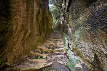 Ancient Roman roads excavated from the tufa rock, of Etruscan origin. Pitigliano, Tuscany, Italy. March 2009