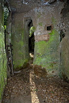 Cave church of Saint Sebastiano. An Etruscan "via cava" (Hollow road), cut into tufa rock. Tuscany, Italy. November 2008
