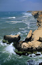Dhofar rocky coast, towards the end of the summer monsoon season, Oman, September