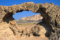 TV Rock, near Ras Al Hadd, on central coast of Oman, November