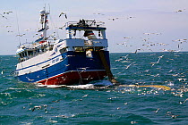 Trawler "Ocean Harvest" retrieving her trawl net amid seabirds. North Sea, June 2010. Property released.