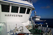 Pair trawlers "Harvester" & "Ocean Harvest" on the North Sea, June 2010.