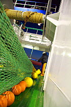 Paying out the trawl net over the stern of a North Sea trawler, June 2010.