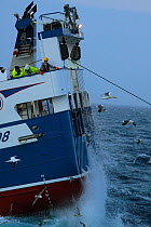 Trawler crew on stern looking as trawl drags behind. North Sea, July 2010.