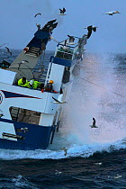 Trawler crew on stern looking as trawl drags behind in heavy seas. North Sea, July 2010.
