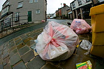 Torn council waste bags, with rubbish scattered over the streets of a small town. Wales, UK July 2008