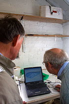 Downloading and inspecting scans of the wings of dead bees. Comparisons enable scientists to establish what percentage native species of the original 'Welsh Black'. This information will allow selecti...