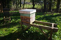 A hive for the European honeybee (Apis mellifera) Wales, UK April 2010