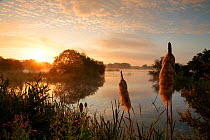 Sunrise over freshwater lake, once an old site for commercial peat extraction, near Westhay, Somerset Levels, part of the Avalon Marshes system of nature reserves, England, UK July 2009