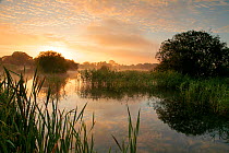 Sunrise over freshwater lake, once an old site for commercial peat extraction, near Westhay, Somerset Levels, part of the Avalon Marshes system of nature reserves, England, UK July 2009
