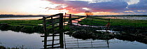 Panoramic view of flooded fields in winter, West Sedgemoor near Langport, Somerset, England UK, 2009 Digital Composite.