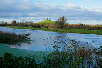 The River Parrett in the foreground flows past Burrow Mump and its ruined church in the background  Near Othery, Somerset, England, UK, November 2009