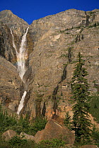 View to Helmet Falls with forest of Engelmann spruce (Picea engelmannii) and subalpine fir (Abies lasiocarpa), Kootenay National Park, British Columbia, Canada. World Heritage Site Helmet Falls at 1,...