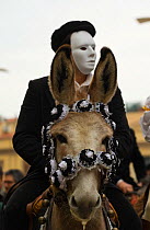 A masked rider mounted on a donkey (Equus asinus) mocks the 'Sartiglia' (a horse race to the star) in Oristano, Sardinia, Italy. February 2010