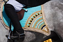 Close up of the costume of a rider from the Gremio dei Contadini before the start of the 'Sartiglia' (race to the star) in Oristano, Sardinia, Italy. February 2010