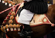 Close-up of the costume of a masked rider on a horse (Equus caballus) from the Gremio di Falegnami parades before the start of the 'Sartiglia' (race to the star)  in Oristano, Sardinia, Italy. Februar...