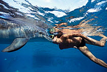 Dolphin trainer kissing Bottlenose Dolphin (Tursiops truncatus) bonding interaction, Dolphin Reef, Eilat, Israel, Red Sea. Model released Model released.