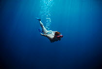 Free diver diving to explore coral reef, Sinai, Egypt, Red Sea Model released Model released.