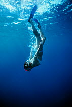 Free diver diving to explore blue water beside coral reef, Sinai, Egypt, Red Sea Model released Model released.