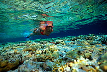 Free diver exploring a coral reef in shallow water, Sinai, Egypt, Red Sea Model released Model released.