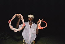 Man holds out Shark jaws, to be sold as trinkets, Thoothoor, India.