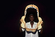 Portrait of local man holding up shark jaws to be sold as trinkets, Thoothoor, India. Model released.